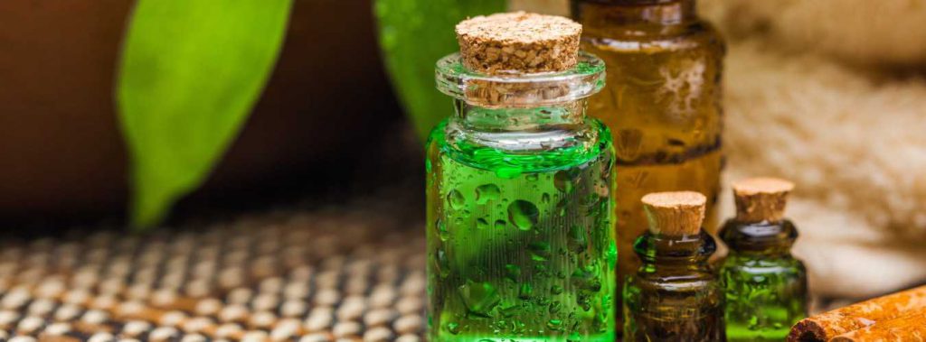 10 Tea Tree Oil Benefits You Must Know About 10 Tea Tree Oil Benefits You Must Know About